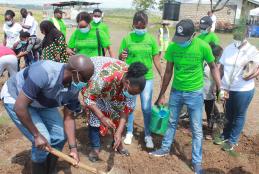 tree planting